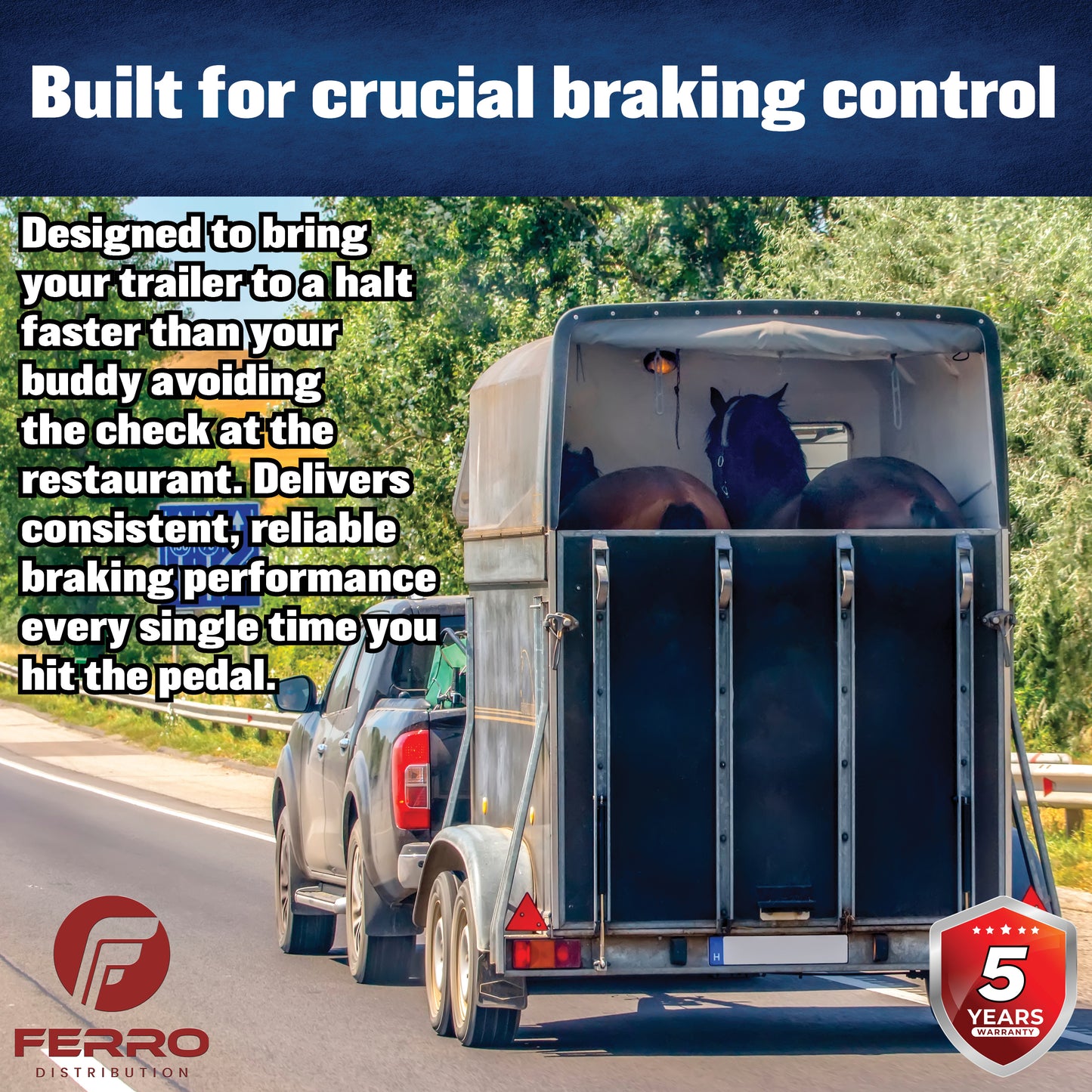 Hub/Drum Assembly (7000 lb capacity, 8" X 6.5", 9/16"-18, for 12" Brakes) (F02004) Ferro Distribution